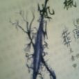 墨說 墨說