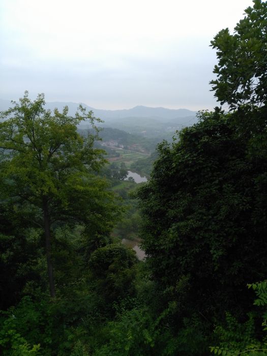 大東沖 大東沖