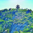 鵲山(山東省濟南市山峰) 鵲山(山東省濟南市山峰)