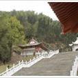 仰山塔林 仰山塔林