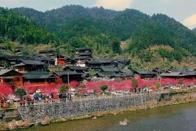 桃林村(湖南省邵陽市城步苗族自治縣丹口鎮桃林村)