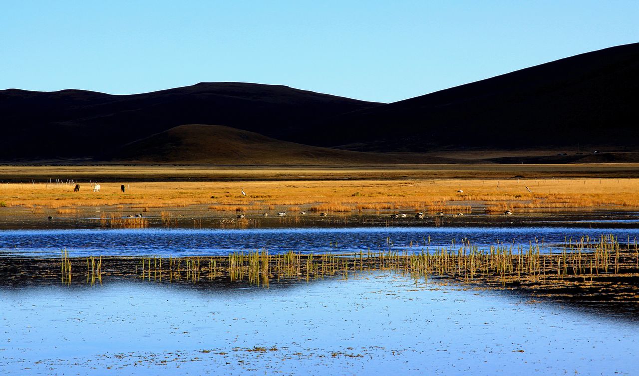 甘肅尕海則岔國家級自然保護區管理局