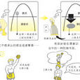 精神分析理論
