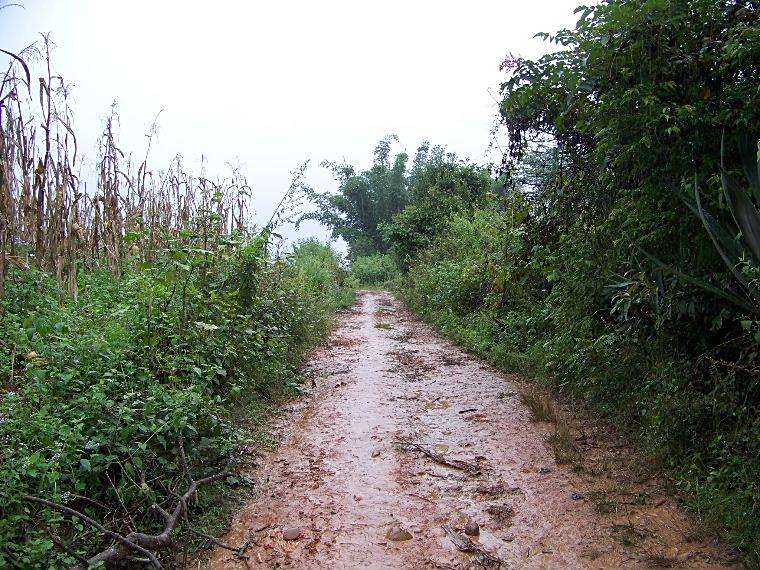 邦掃村 邦掃村