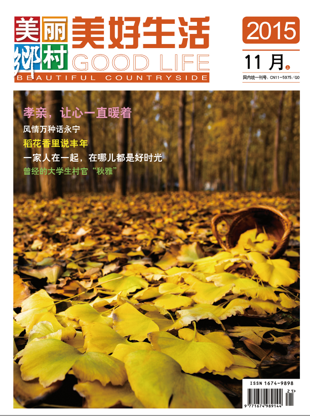 美麗鄉村(美麗鄉村美好生活雜誌)