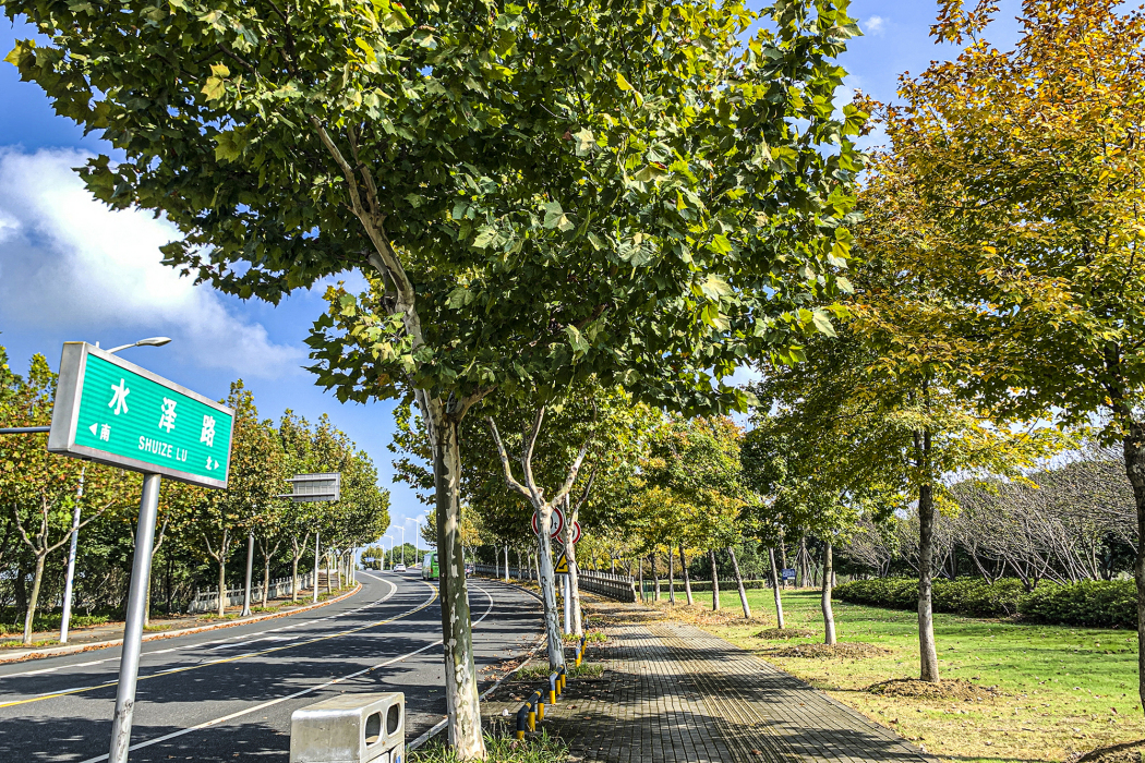 水澤路 水澤路