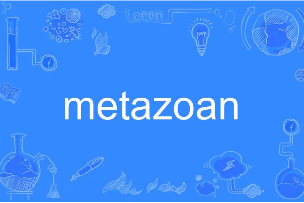 metazoan metazoan