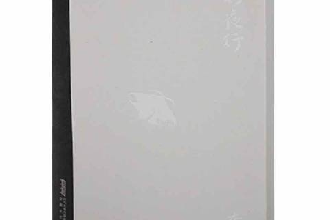 挑燈夜行 挑燈夜行