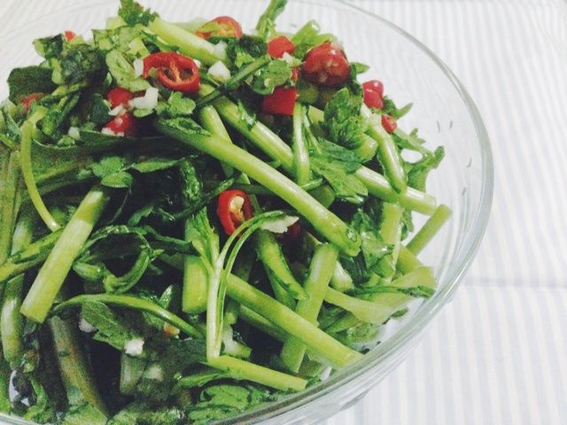 涼拌生茼蒿 涼拌生茼蒿
