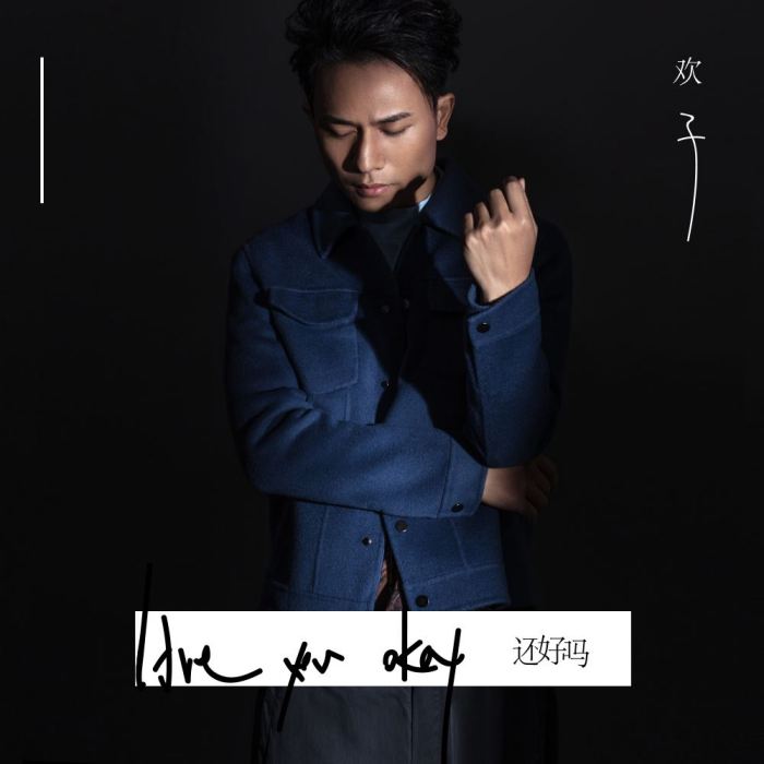 還好嗎(歡子演唱歌曲) 還好嗎(歡子演唱歌曲)