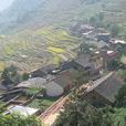 中廠村(雲南昭通市彝良縣洛旺鄉下轄村)