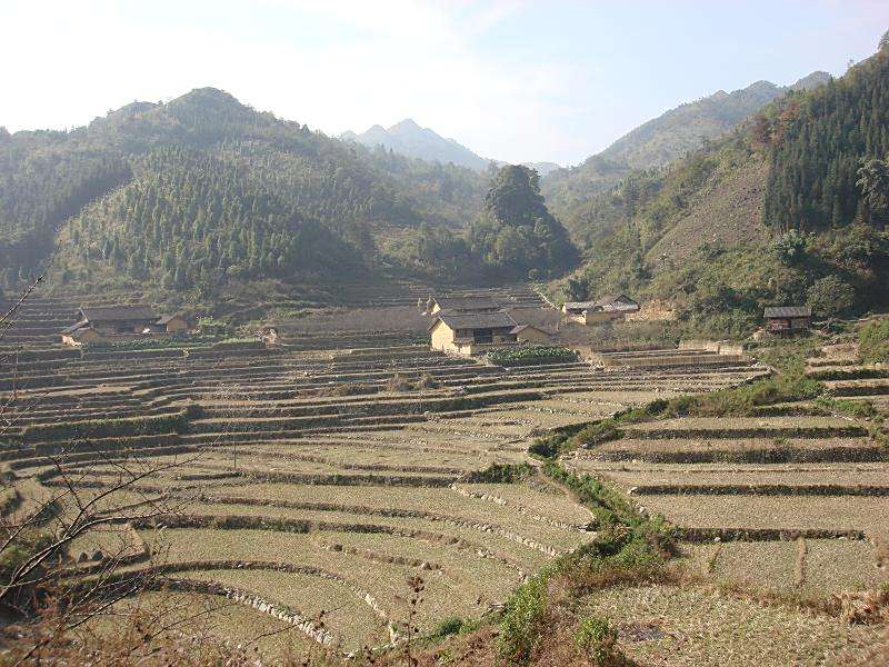 洞板村