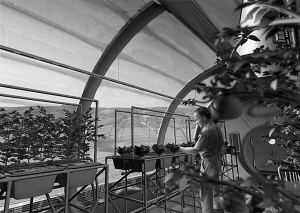 火星殖民者在“透明穹頂建築”內栽花種草