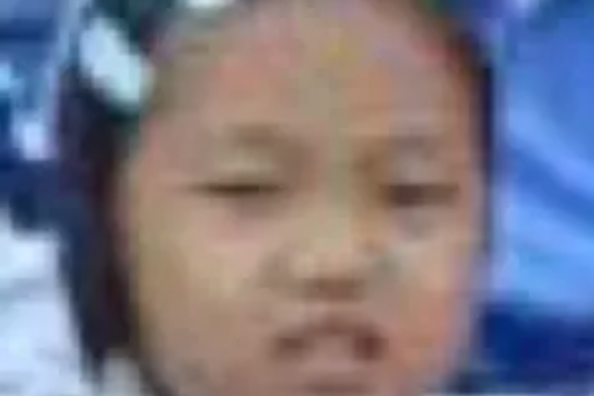 vikk啦啦啦
