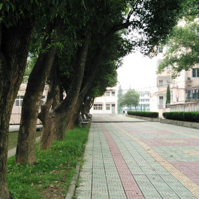 繁昌縣第三中學(繁昌三中) 繁昌縣第三中學(繁昌三中)