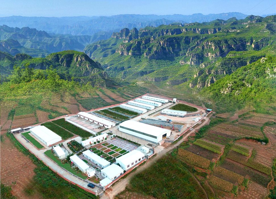 奎山公社 奎山公社