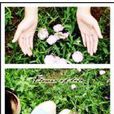年華老去 年華老去