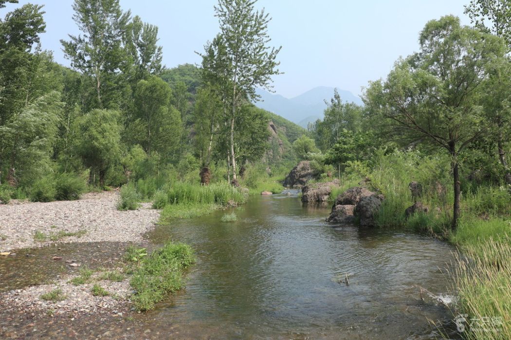 小川河 小川河