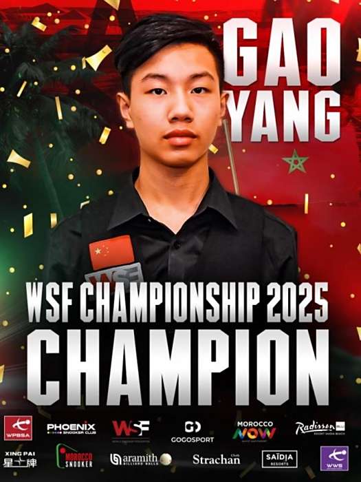 高陽(中國斯諾克選手) 高陽(中國斯諾克選手)