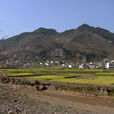 新坪村(雲南省昭通永善縣黃華鎮新坪村委會) 新坪村(雲南省昭通永善縣黃華鎮新坪村委會)