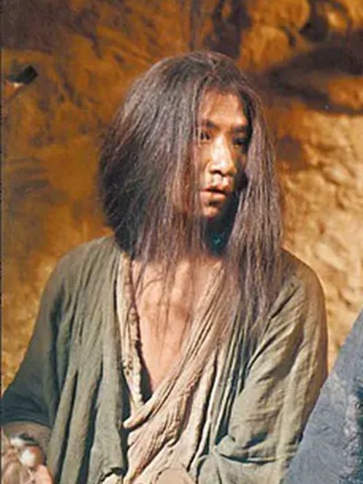 洪七(《東邪西毒》中的角色) 洪七(《東邪西毒》中的角色)