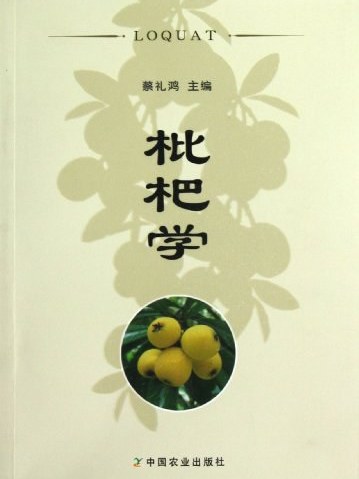 枇杷學 枇杷學