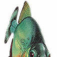 吃人魚 吃人魚
