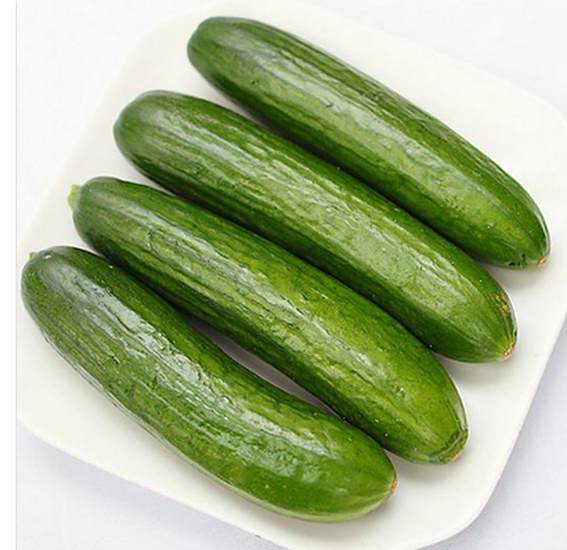 華黃瓜2號 華黃瓜2號