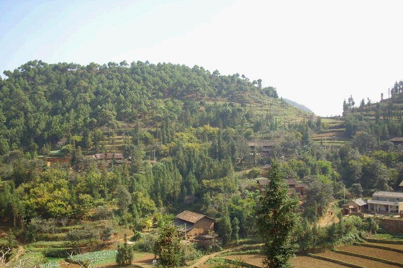 羊八村 羊八村