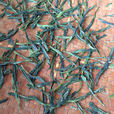 太平猴魁(綠茶類尖茶)
