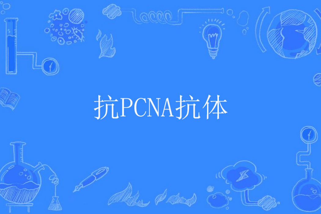 抗PCNA抗體 抗PCNA抗體