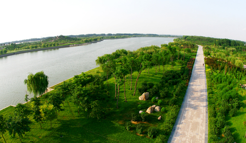 渭河近堤綠化工程