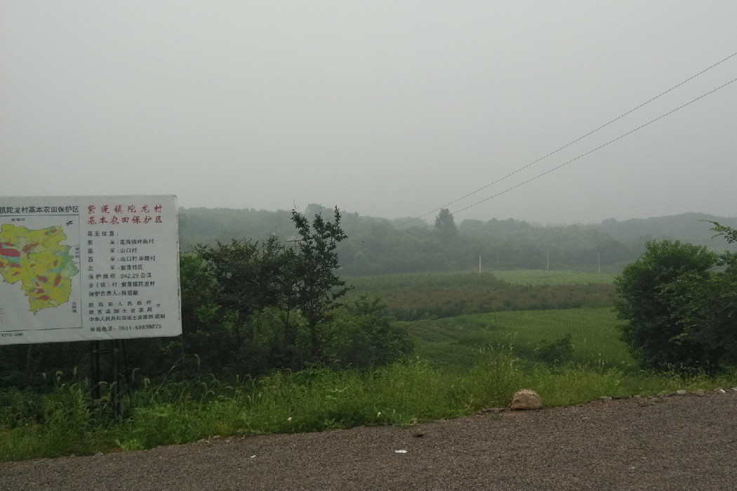 陀龍村 陀龍村
