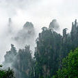武陵源風景名勝區(風景名勝區)