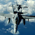 F/A-18戰鬥攻擊機(F/A-18戰鬥機)