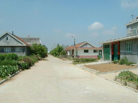 小哨頭村 小哨頭村