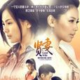 賢妻(2013年劉濤、保劍鋒、洪小鈴主演電視劇) 賢妻(2013年劉濤、保劍鋒、洪小鈴主演電視劇)