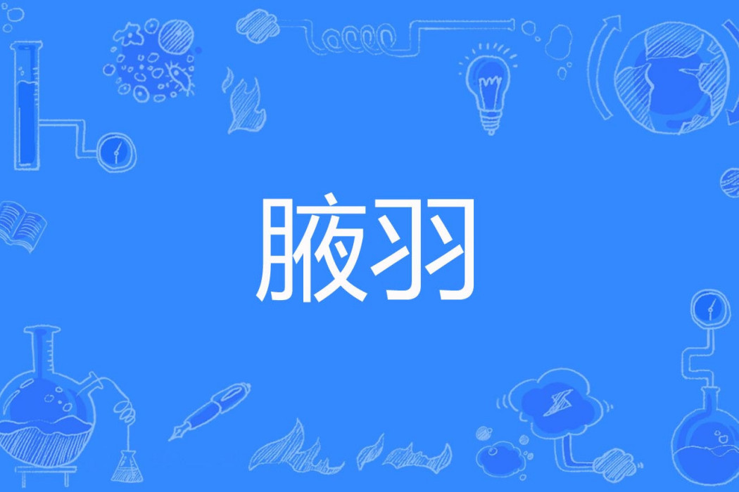 腋羽 腋羽