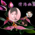 情海幽蘭 情海幽蘭