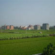 陸澤村 陸澤村