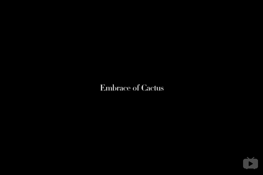 Embrace of Cactus Embrace of Cactus