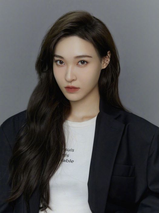 許琪(中國內地女演員) 許琪(中國內地女演員)