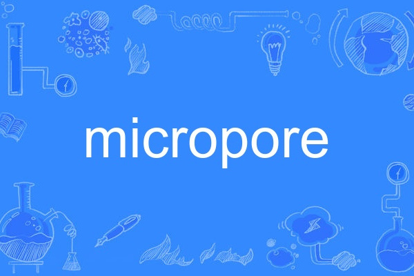 micropore micropore
