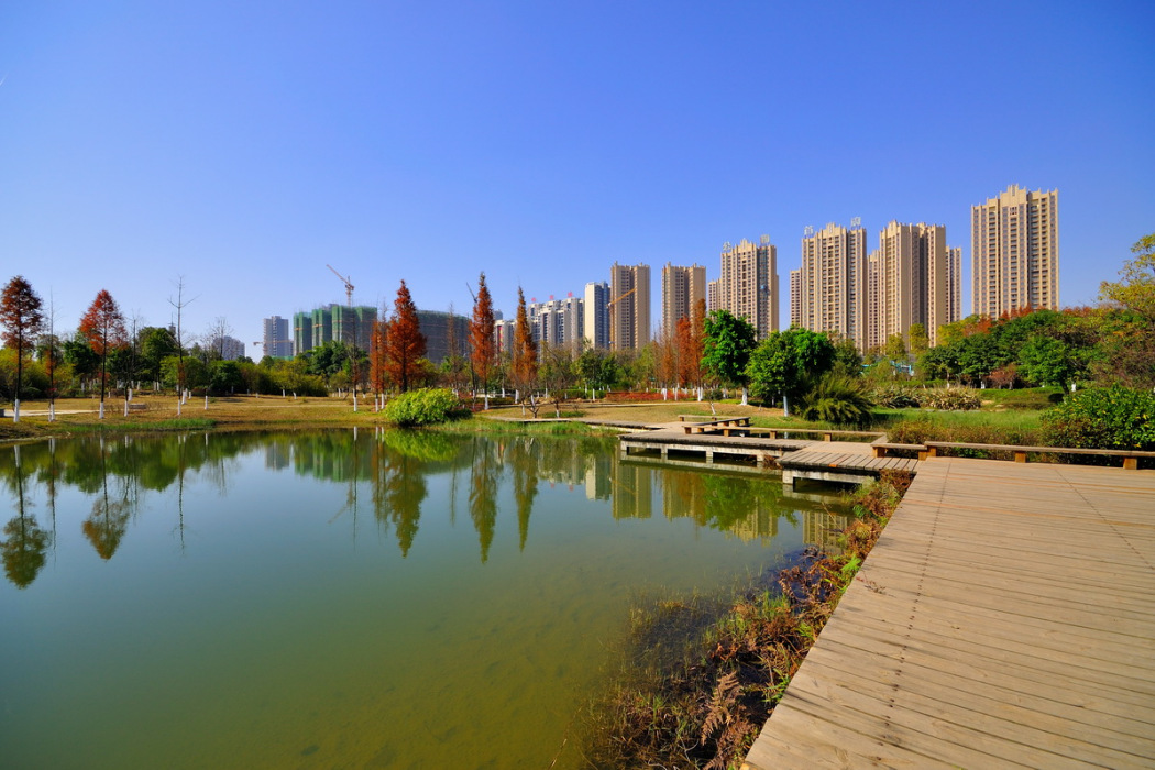 中央風景 中央風景