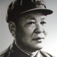 阮平(六十三軍副軍長) 阮平(六十三軍副軍長)