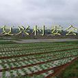 復興村(雲南省昭通巧家縣白鶴灘鎮復興村) 復興村(雲南省昭通巧家縣白鶴灘鎮復興村)