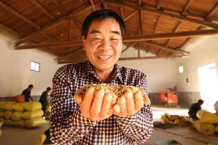 黃秀泉(沙縣農業科學研究所副所長、高級農藝師) 黃秀泉(沙縣農業科學研究所副所長、高級農藝師)