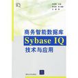 商務智慧型資料庫SybaseIQ技術與套用