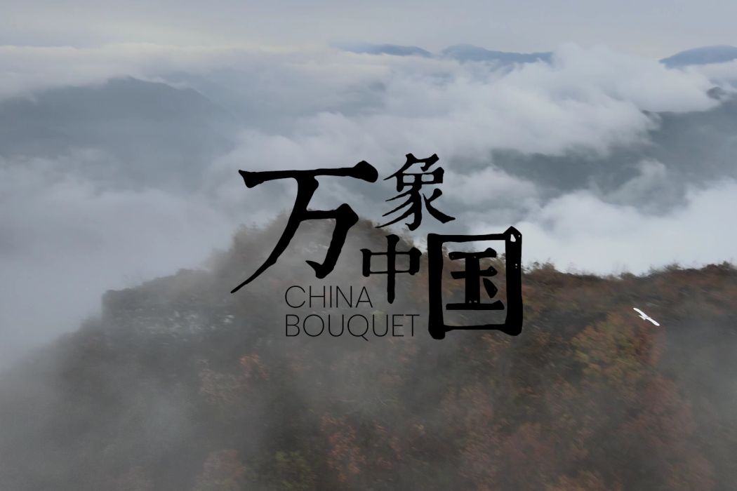 萬象中國 萬象中國