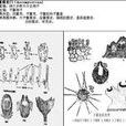 子囊菌亞門